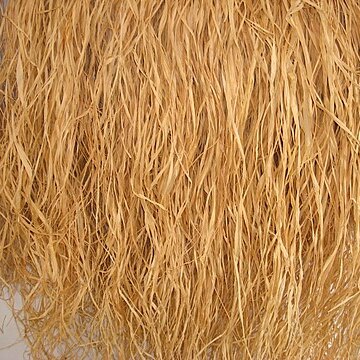 Raphia vinifera unspecified picture