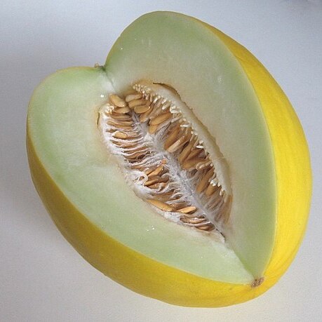 Cucumis unspecified picture