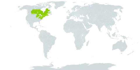 Abies balsamea var. balsamea world distribution map, present in Canada, France, and United States of America