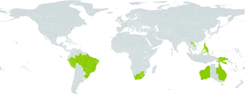 Abutilon auritum world distribution map, present in Australia, Brazil, Guadeloupe, Indonesia, Jamaica, Lao People's Democratic Republic, Martinique, Peru, Philippines, Papua New Guinea, Réunion, United States of America, and South Africa