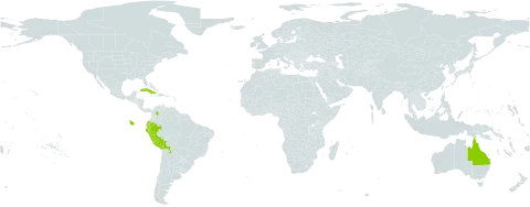 Abutilon mollissimum world distribution map, present in Australia, Bolivia (Plurinational State of), Colombia, Cuba, Ecuador, and Peru
