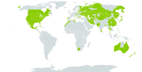 Abutilon theophrasti world distribution map, present in Afghanistan, Anguilla, Albania, Armenia, Australia, Azerbaijan, Bangladesh, Bulgaria, Bahamas, Bosnia and Herzegovina, Canada, China, Cuba, Czech Republic, Spain, Estonia, France, Georgia, Greece, Croatia, Indonesia, India, Iran (Islamic Republic of), Israel, Italy, Japan, Kazakhstan, Kyrgyzstan, Lithuania, Latvia, Morocco, Mexico, North Macedonia, Malta, Montenegro, Mongolia, New Zealand, Pakistan, Panama, Korea (Democratic People's Republic of), Portugal, Russian Federation, Saudi Arabia, Serbia, Slovakia, Slovenia, Thailand, Tajikistan, Turkmenistan, Tunisia, Taiwan, Province of China, Ukraine, United States of America, Uzbekistan, and South Africa