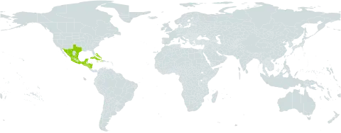 Abutilon trisulcatum world distribution map, present in Bahamas, Cuba, Guatemala, Honduras, Haiti, Jamaica, Mexico, Nicaragua, El Salvador, and United States of America
