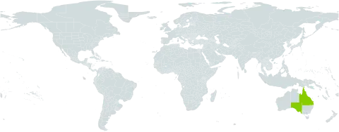Acacia semilunata world distribution map, present in Australia