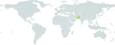 Acantholimon fasciculare world distribution map, present in Afghanistan and Pakistan