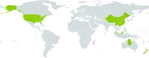 Acer world distribution map, present in Australia, China, Malaysia, New Zealand, and United States of America