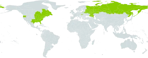 Acer rubrum world distribution map, present in Belarus, Brazil, Canada, Russian Federation, Slovakia, and United States of America