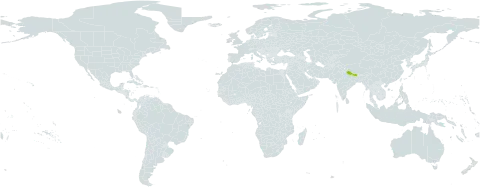 Aconitum staintonii world distribution map, present in Nepal