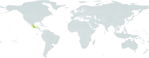 Acourtia cordata world distribution map, present in Mexico
