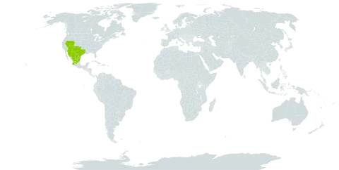 Acourtia wrightii world distribution map, present in Mexico and United States of America