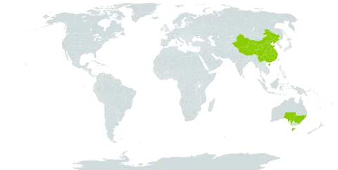 Acronychia world distribution map, present in Australia and China