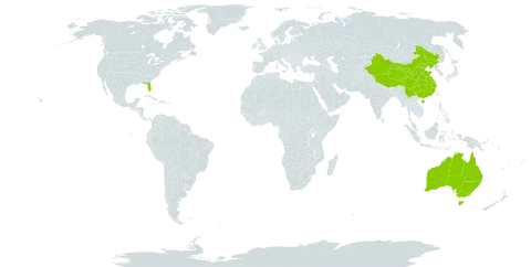 Acrostichum world distribution map, present in Australia, China, and United States of America