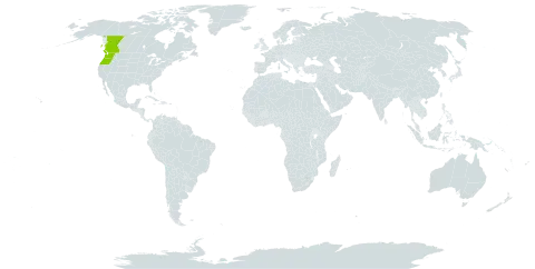 Actaea elata world distribution map, present in Canada and United States of America
