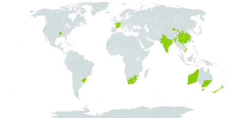 Actinidia chinensis var. deliciosa world distribution map, present in Australia, Brazil, China, France, India, New Zealand, Taiwan, Province of China, United States of America, Viet Nam, and South Africa