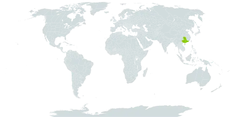 Actinidia chrysantha world distribution map, present in China