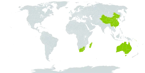 Adenia world distribution map, present in Australia, China, Madagascar, Solomon Islands, and South Africa