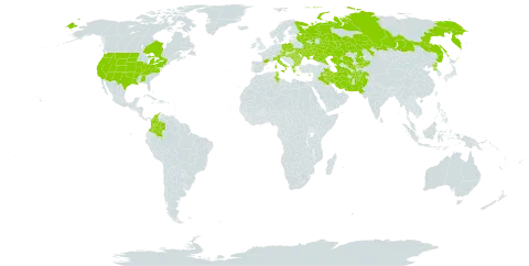 Aegilops cylindrica world distribution map, present in Afghanistan, Åland Islands, Austria, Bulgaria, Canada, Colombia, Cyprus, Czech Republic, France, Micronesia (Federated States of), Greece, Hungary, Iran (Islamic Republic of), Iraq, Italy, Kazakhstan, Kyrgyzstan, Pakistan, Palau, Poland, Korea (Democratic People's Republic of), Romania, Russian Federation, Turks and Caicos Islands, Turkmenistan, Tunisia, Ukraine, United States of America, and Uzbekistan
