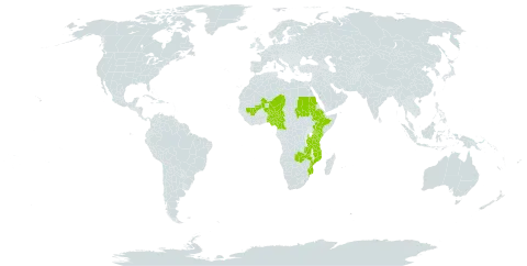 Aeschynomene pfundii world distribution map, present in Cameroon, Ethiopia, Kenya, Mali, Mozambique, Malawi, Niger, Nigeria, Sudan, Tanzania, United Republic of, and Zambia