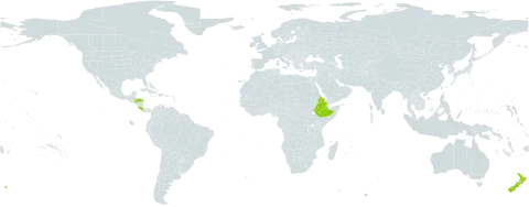 Agapanthus praecox subsp. orientalis world distribution map, present in Costa Rica, Eritrea, Ethiopia, Honduras, Norfolk Island, and New Zealand