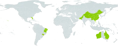 Agave sisalana world distribution map, present in Australia, Brazil, China, Pakistan, and United States of America
