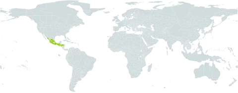 Ageratina muelleri world distribution map, present in Guatemala, Honduras, and Mexico