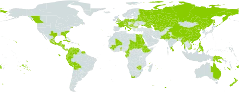 Ageratum houstonianum world distribution map, present in Australia, Belgium, Benin, Bulgaria, Bosnia and Herzegovina, Belarus, Belize, Bolivia (Plurinational State of), Bhutan, Canada, China, Cameroon, Colombia, Costa Rica, Cuba, Germany, Ecuador, Egypt, Spain, Ethiopia, Fiji, France, Gabon, United Kingdom of Great Britain and Northern Ireland, Georgia, Guinea, Guatemala, Honduras, Croatia, Hungary, Indonesia, India, Italy, Jamaica, Kazakhstan, Sri Lanka, Moldova (Republic of), Mexico, Mali, Myanmar, Mauritius, Nicaragua, Nepal, New Zealand, Pakistan, Panama, Peru, Philippines, Papua New Guinea, Poland, Korea (Democratic People's Republic of), Portugal, Russian Federation, Sudan, El Salvador, Serbia, Suriname, eSwatini, Chad, Turkmenistan, Trinidad and Tobago, Taiwan, Province of China, Ukraine, United States of America, Uzbekistan, Venezuela (Bolivarian Republic of), Viet Nam, South Africa, and Zimbabwe