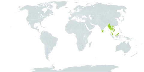 Aglaia exstipulata world distribution map, present in India, Myanmar, Malaysia, Singapore, Thailand, and Viet Nam