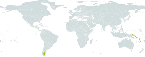 Aglaia samoensis world distribution map, present in Argentina, American Samoa, Fiji, Indonesia, Papua New Guinea, Solomon Islands, Vanuatu, Wallis and Futuna, and Samoa