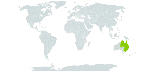 Aglaia sapindina world distribution map, present in Australia and Papua New Guinea