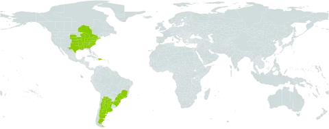Agrimonia parviflora world distribution map, present in Argentina, Brazil, Canada, Dominican Republic, Haiti, and United States of America
