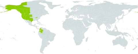 Agrostis exarata world distribution map, present in Canada, Colombia, United States of America, and Samoa