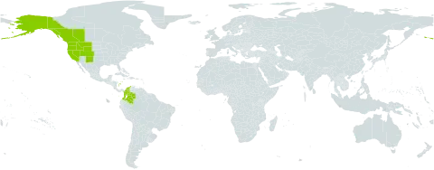 Agrostis humilis world distribution map, present in Canada, Colombia, and United States of America