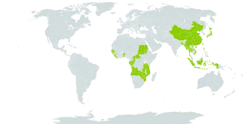 Aidia world distribution map, present in Angola, Andorra, Benin, Burkina Faso, Bangladesh, Central African Republic, China, Congo, Cabo Verde, Fiji, Gabon, Guinea, Guinea-Bissau, Indonesia, Japan, Liberia, Moldova (Republic of), Myanmar, Mozambique, Nauru, Philippines, Sudan, Senegal, Solomon Islands, Sierra Leone, Togo, Thailand, Tonga, Taiwan, Province of China, Tanzania, United Republic of, Uganda, United States of America, Viet Nam, Vanuatu, Wallis and Futuna, Samoa, Zambia, and Zimbabwe