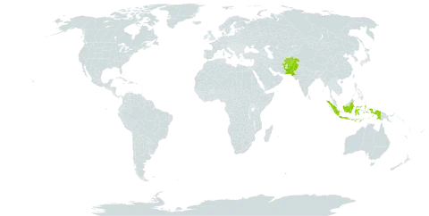 Ajuga parviflora world distribution map, present in Afghanistan, Indonesia, Nepal, and Pakistan