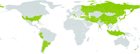 Albizia julibrissin world distribution map, present in Afghanistan, Argentina, Armenia, American Samoa, Azerbaijan, Bangladesh, Brazil, Bhutan, China, Colombia, Cyprus, Indonesia, India, Iran (Islamic Republic of), Iraq, Italy, Jamaica, Japan, Korea (Republic of), Moldova (Republic of), Myanmar, Mauritius, Nepal, New Zealand, Pakistan, Peru, Russian Federation, Tajikistan, Turkmenistan, Turkey, Taiwan, Province of China, Ukraine, Uruguay, United States of America, and Uzbekistan