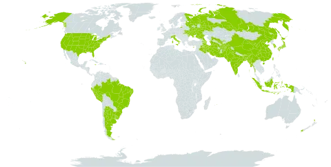 Albizia philippinensis world distribution map, present in Afghanistan, Argentina, Armenia, Azerbaijan, Bangladesh, Brazil, Bhutan, China, Cyprus, Indonesia, India, Iran (Islamic Republic of), Iraq, Italy, Jamaica, Japan, Korea (Republic of), Moldova (Republic of), Myanmar, Mauritius, Nepal, New Zealand, Pakistan, Peru, Philippines, Russian Federation, Tajikistan, Turkmenistan, Taiwan, Province of China, Ukraine, Uruguay, United States of America, and Uzbekistan