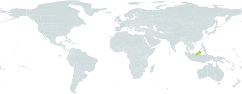 Albizia rosulata world distribution map, present in Brunei Darussalam, Indonesia, and Malaysia