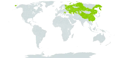 Allium obliquum world distribution map, present in China, Kazakhstan, Kyrgyzstan, Montenegro, Romania, and Russian Federation