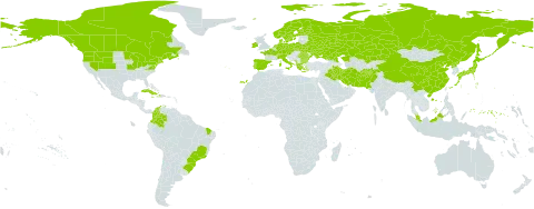 Allium schoenoprasum world distribution map, present in Afghanistan, Albania, American Samoa, Austria, Bulgaria, Belarus, Brazil, Canada, Switzerland, China, Colombia, Cuba, Czech Republic, Germany, Dominica, Denmark, Spain, Finland, Falkland Islands (Malvinas), France, Micronesia (Federated States of), Greece, Haiti, Ireland, Iran (Islamic Republic of), Iraq, Italy, Jamaica, Japan, Kazakhstan, Montenegro, Malaysia, Netherlands, Norway, Pakistan, Poland, Korea (Democratic People's Republic of), Portugal, Romania, Russian Federation, Sweden, Seychelles, Turks and Caicos Islands, Ukraine, and United States of America