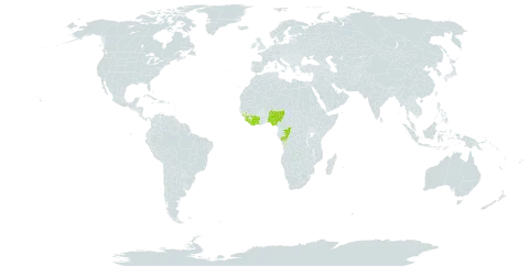 Allophylus talbotii world distribution map, present in Côte d'Ivoire, Congo, Guinea, Liberia, Nigeria, and Sierra Leone