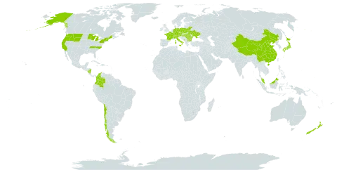 Alnus alnobetula world distribution map, present in Austria, Bulgaria, Belarus, Switzerland, Chile, China, Colombia, Czech Republic, Germany, France, Micronesia (Federated States of), Hungary, Italy, Japan, Montenegro, Malaysia, Nicaragua, New Zealand, Poland, Romania, Ukraine, and United States of America