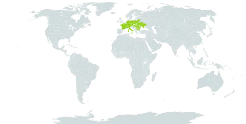 Alnus alnobetula subsp. alnobetula world distribution map, present in Austria, Bulgaria, Belarus, Switzerland, Czech Republic, Germany, France, Hungary, Italy, Poland, Romania, and Ukraine