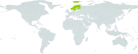 Alnus incana subsp. kolaensis world distribution map, present in Finland, Norway, and Sweden