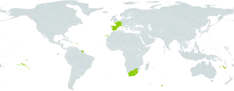 Aloe ferox world distribution map, present in Spain, France, Lesotho, and South Africa