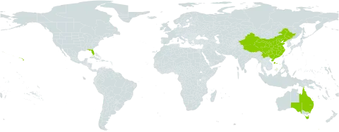 Alpinia world distribution map, present in Australia, China, and United States of America