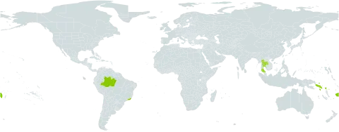 Alpinia vittata world distribution map, present in Brazil, Dominica, Fiji, Solomon Islands, and Thailand