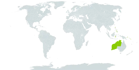 Alstonia spectabilis world distribution map, present in Australia, Indonesia, Philippines, Papua New Guinea, and Solomon Islands