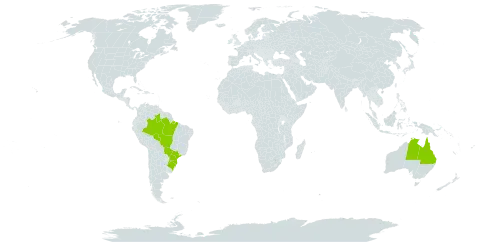 Alternanthera micrantha world distribution map, present in Argentina, Australia, and Brazil