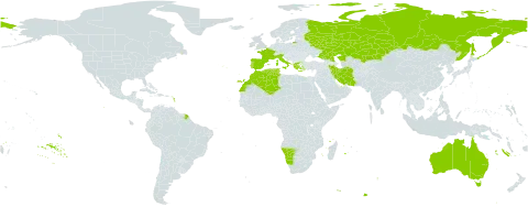 Althenia world distribution map, present in Australia, Algeria, Spain, France, Greece, Iran (Islamic Republic of), Italy, Kazakhstan, Morocco, Namibia, Portugal, Russian Federation, Turks and Caicos Islands, and Tunisia
