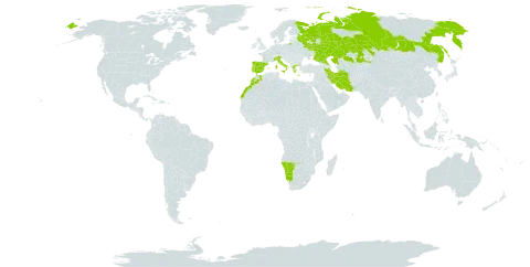 Althenia orientalis subsp. orientalis world distribution map, present in Spain, Greece, Iran (Islamic Republic of), Italy, Kazakhstan, Morocco, Namibia, Portugal, Russian Federation, and Turks and Caicos Islands